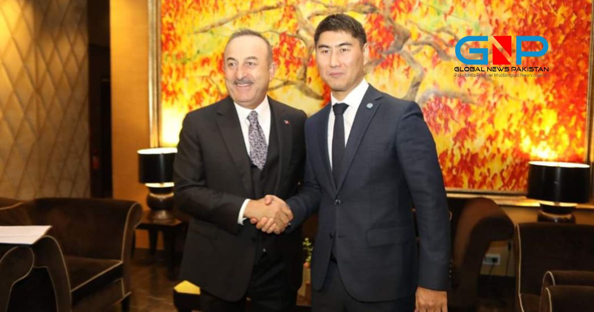 Minister of Foreign Affairs of the Kyrgyz Republic met with the Minister of Foreign Affairs of the Republic of Turkey
