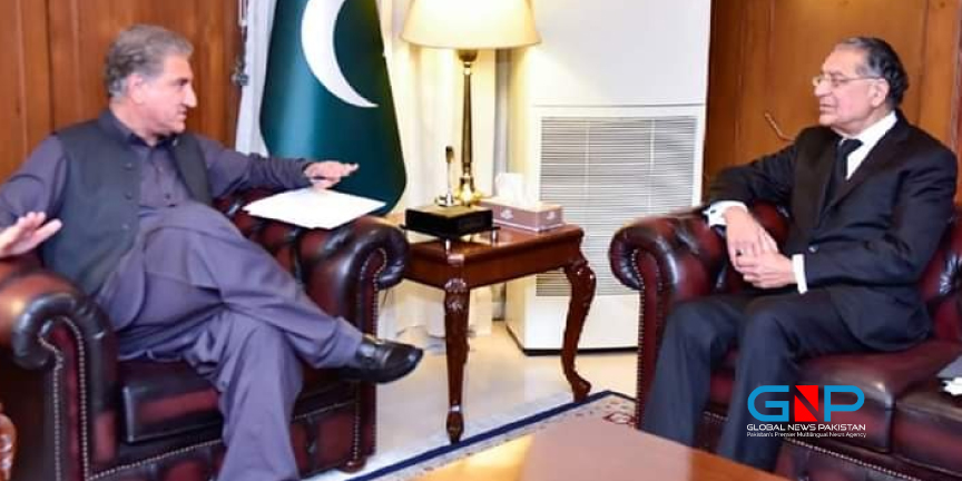 متحدہ میں تعینات مستقل مندوب منیر اکرم کی وزیر خارجہ سے ملاقات