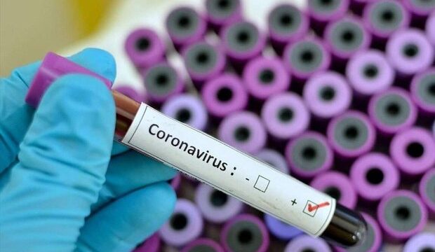 coronavirus 1 620x360 1