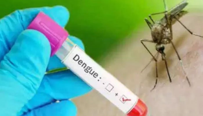 Dengue virus looms over Punjab as province reports 34 cases in a day