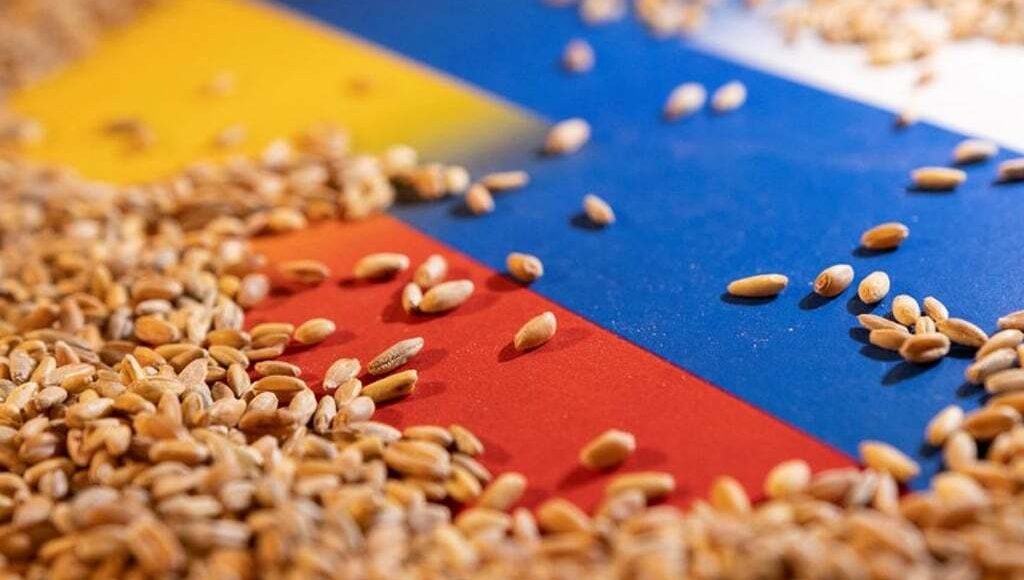 Russian and Ukraine flag under grain.