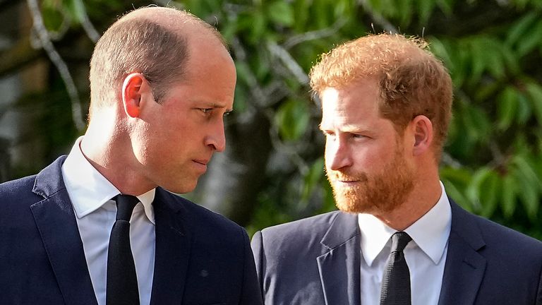 Prince William (L) and Prince Harry (R)
