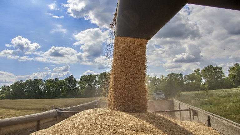 Ukrainian Grain Ban