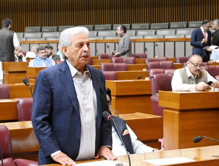 پاکستان کی امن پسندی کو ہماری کمزوری نہ سمجھا جائے، رانا تنویر