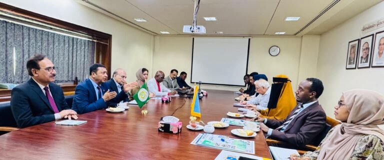 Pak, Somalia commit to joint efforts tackling key development challenges in Africa