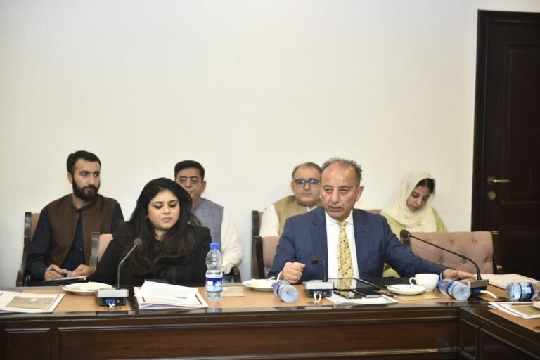 مؤثر سفارت کاری کی بنیاد باہمی، تفہیم مبنی مکالمے پر ہونی چاہیے، ڈاکٹر مصدق