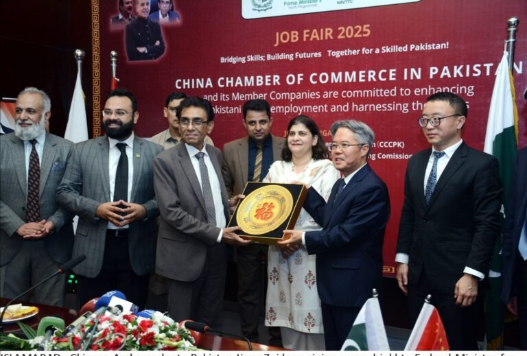 Chinese companies will provide job opportunities to Pakistani youth, Amb Jiang