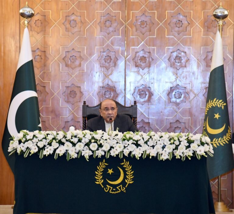 مؤثر قانون سازی جمہوری اداروں کو مستحکم کرنے میں مدد دے سکتی ہے۔ صدر