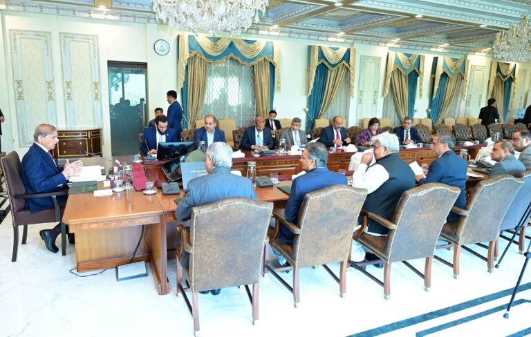 وزیراعظم کی زیر صدارت ایف بی آر کے امور کے حوالے سے جائزہ اجلاس