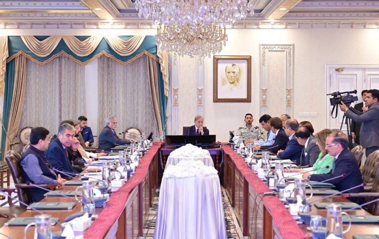 وفاقی کابینہ کا میر بھاشا ڈیم اور دیگر آبی وسائل کے امور پر اہم اجلاس