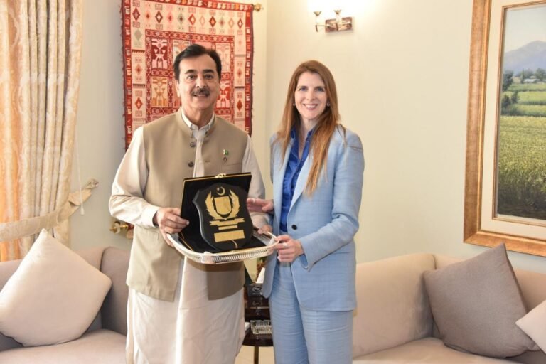 Pakistan aims to deepen its comprehensive partnership with the UK, Gilani