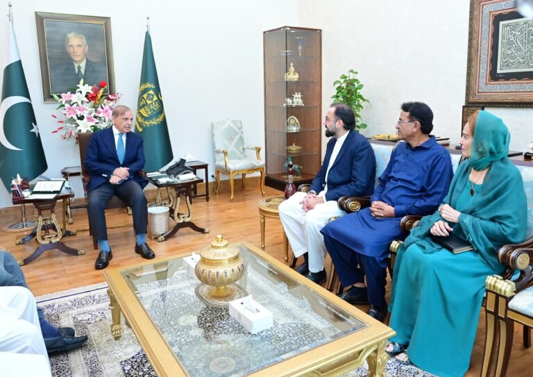 لیگی رہنماؤں کا بجٹ پیش کرنے پر وزیراعظم اور ان کی ٹیم کو خراج تحسین
