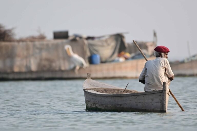 VRW’s documentary series won 18 local and international awards