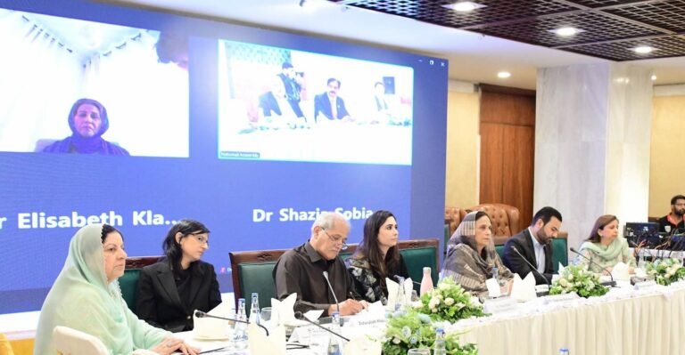 Budgets must reflect priorities and address women’s and girls’ needs, Dr. Rehmani