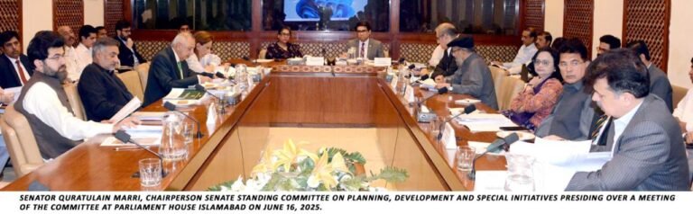 Planning Committee Calls for Handover of Pak PWD Projects to Sindh