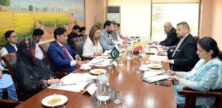 Parliamentary diplomacy plays key role in bilateral ties, Ambassador Stoenescu