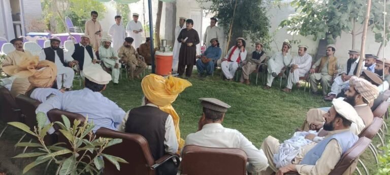 Wazir tribal Jirga pledges support for check dam projects in Wana