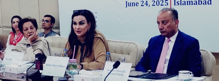 Local govtss are under pressure to provide basic services, Sherry