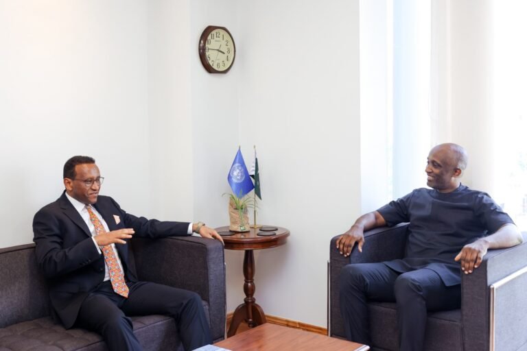 Ethiopia’s proactive role in promoting food security, UN Resident Coordinator