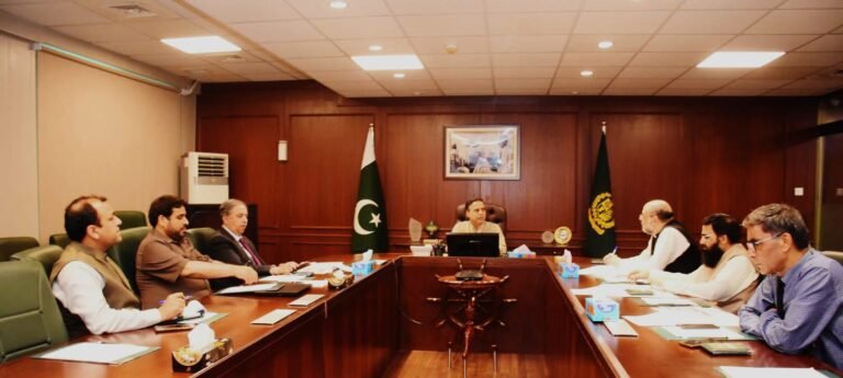 PNSC to secure $700 million in freight earnings through fleet expansion, Junaid Ch