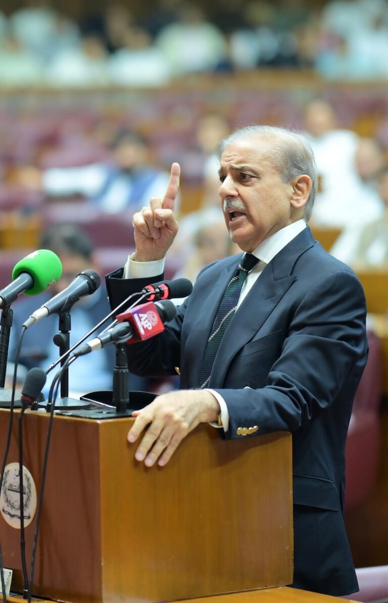 پارلیمنٹ جدیدیت پر مبنی قانون سازی کے لیے بھی سرگرم عمل رہی ہے،وزیراعظم