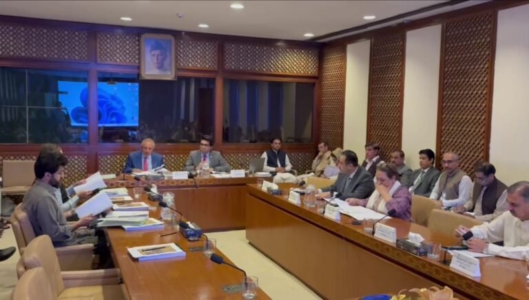 Planning Committee reviews the PSDP for 2025-26