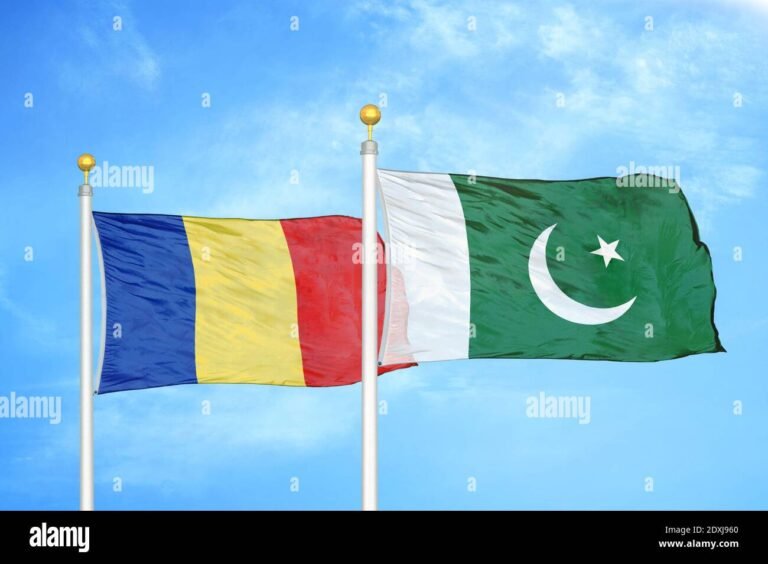 Romanian language teaching in Pakistan to unlock student opportunities, Dr. Stoenescu