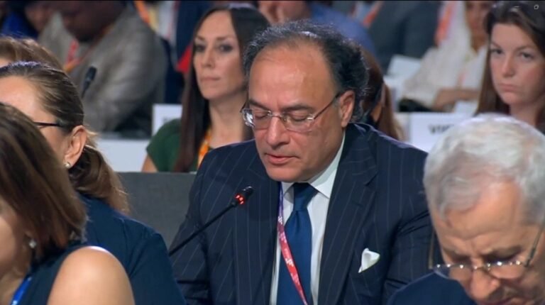 Finance Minister calls for strengthening int’l financial architecture