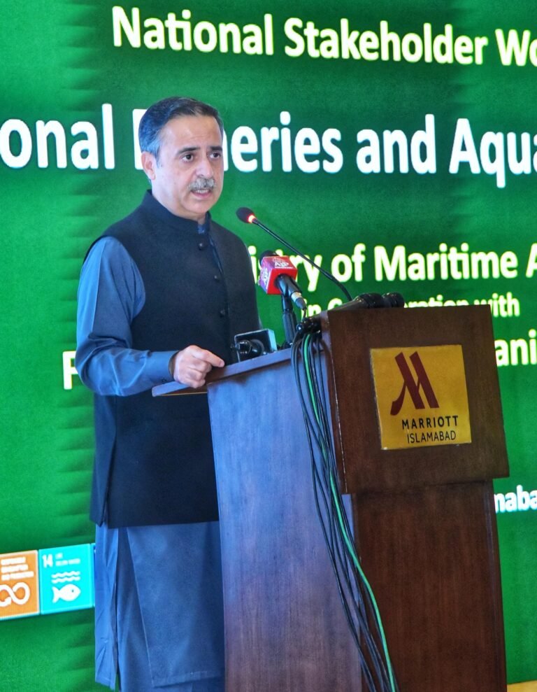 Maritime Affairs to keep leading key national issues, Junaid Anwar