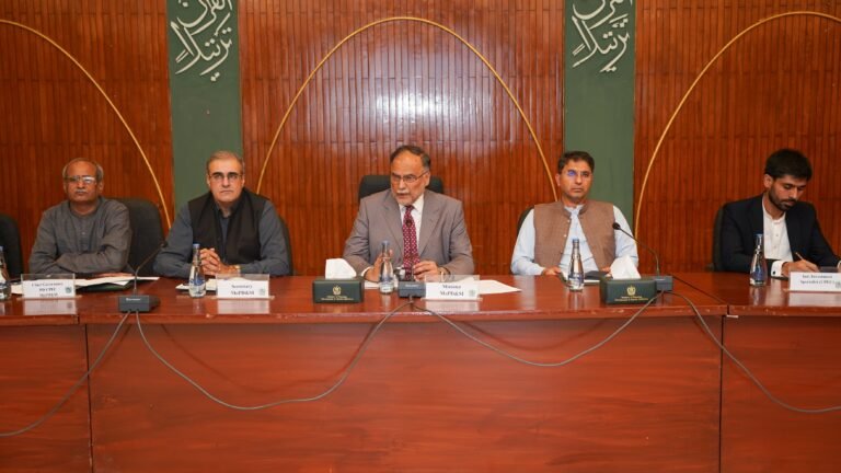 High-level meeting reviews progress on Pak-China economic ties