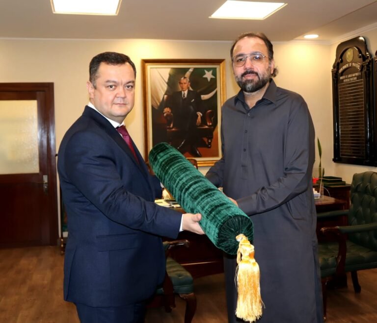 Pakistan plans pilot project with Uzbekistan to employ workers, Ch Salik