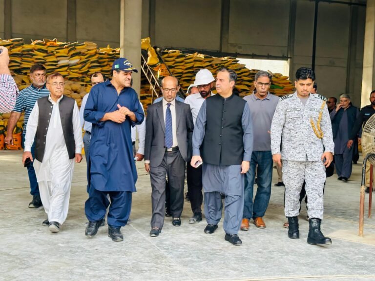 Transforming Gwadar into a modern hub aligns with national priorities, Junaid Ch