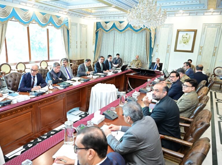 وزیراعظم کو نجکاری لسٹ میں شامل کیے گئے اداروں کی نجکاری پر بریفنگ