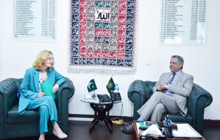 Pakistan vows to uphold constitutional human rights, Tarar