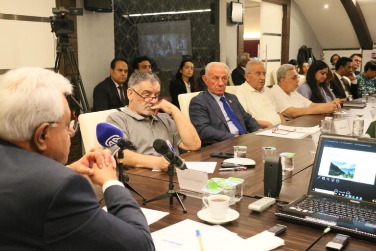 Kashmir remains oldest unresolved UN Security Council issue, Speakers