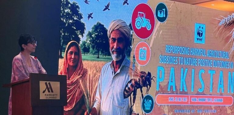 Experts Call to Reform Farm Subsidies for Sustainability