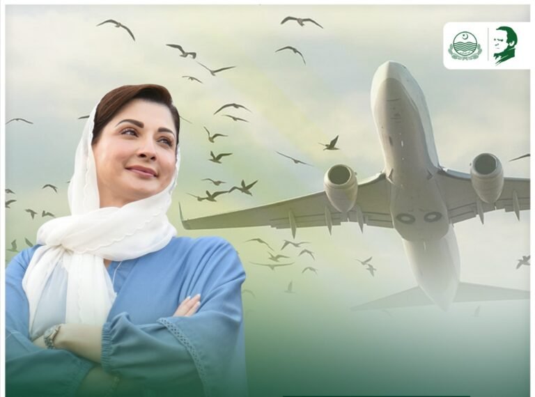 CM orders “No-Bird Zones” in Lahore to ensure aircraft safety