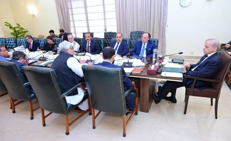 وزیرِ اعظم کی ہدایت پر پاکستان کی تاریخ میں پہلی مرتبہ ایف بی آر کی جانب سے مصنوعی ذہانت پر مبنی کسٹمز کلیئرنس اور رسک مینجمنٹ سسٹم متعارف