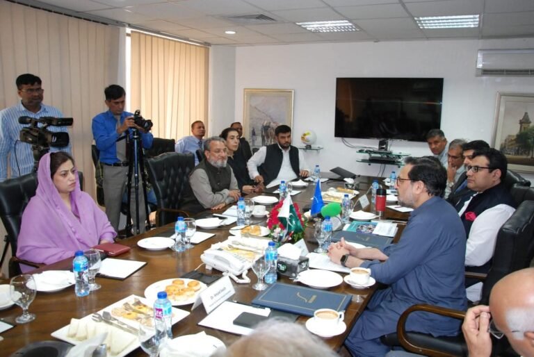 NATIONAL ROADMAP FOR TRANSITION OF INFORMAL BUSINESSES INTO