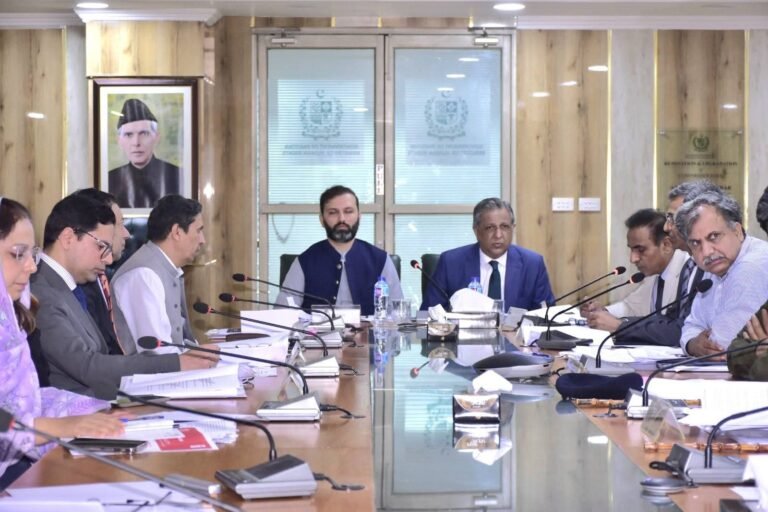 Islam teaches safeguarding the rights of all communities, Tarar