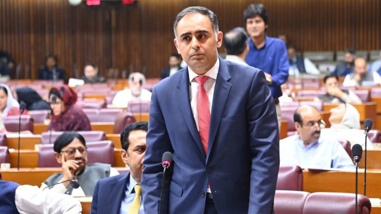 وزیر مملکت ریلوے و خزانہ بلال اظہر کیانی کا پاکستان کے 78ویں یومِ آزادی پر  پیغا