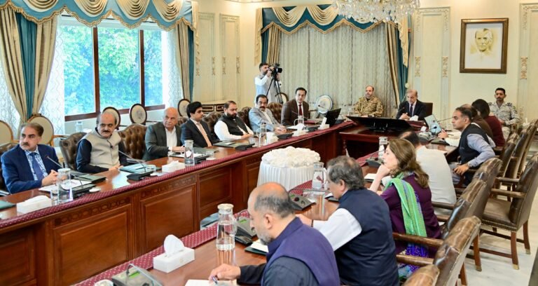 وزیر اعظم محمد شہباز شریف کا اسرائیلی کابینہ کے فیصلے پر بیان