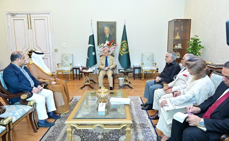 PM, Saudi Envoy discuss regional developments