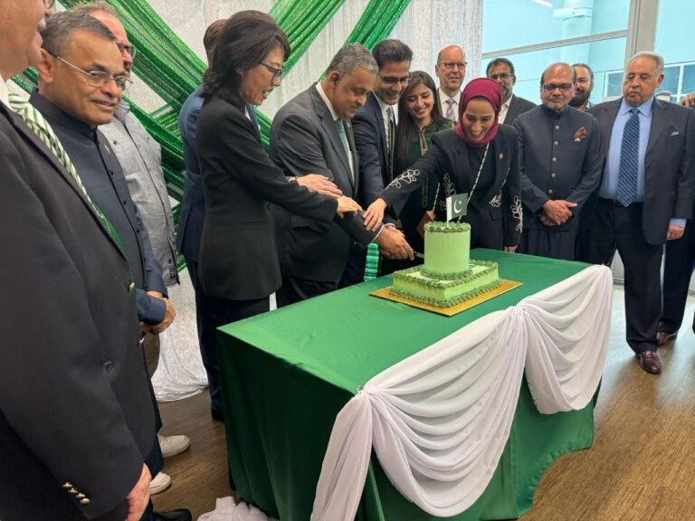 Pakistan stands proudly among nations with a strong economy, Rizwan