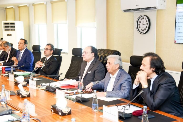 ECC approves key economic measures, relief for GB flood affects