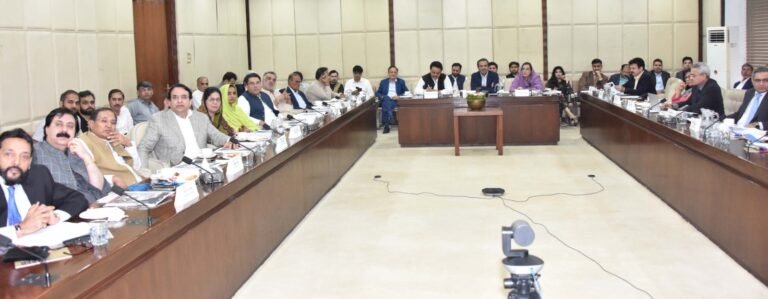 Joint committee urges the protection of auto sector households