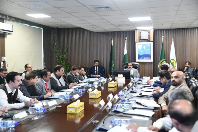 AJK Govt & Federal bodies unite for timely, lasting solution, Sanaullah
