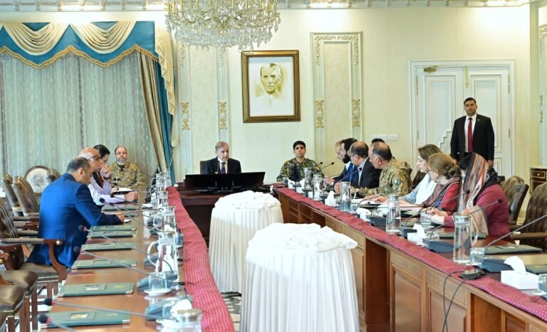 وزیراعظم کی پنجاب میں شدید بارشیں پر ہنگامی اجلاس کی صدارت