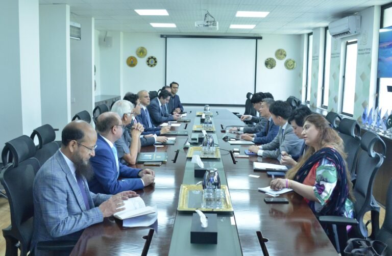 Pakistan grateful for Japan’s confidence in its economic potential, Malik