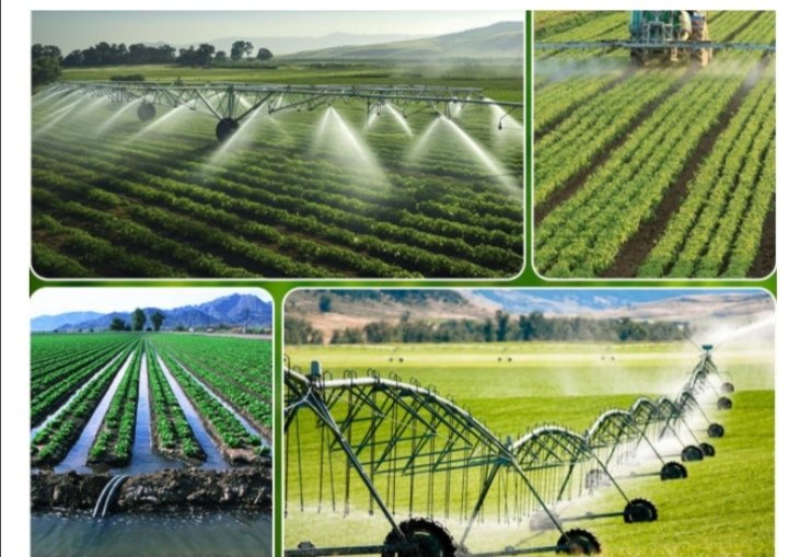 Uzbekistan to equip all irrigated lands with water-saving technologies by 2030